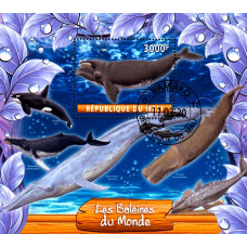 Mali 2020 - Balene - colita s