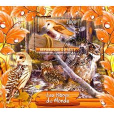 Mali 2020 - Bufnite - colita s