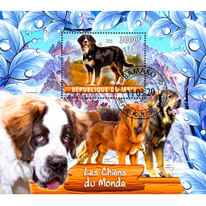 Mali 2020 - Caini - 2 - colita s