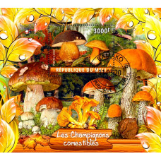 Mali 2020 - Ciuperci comestibile - colita s