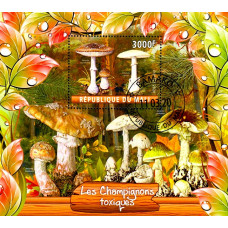 Mali 2020 - Ciuperci otravitoare - colita s