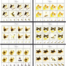 1707a - Pisici - coli